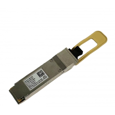 Mellanox MMA1B00-E100